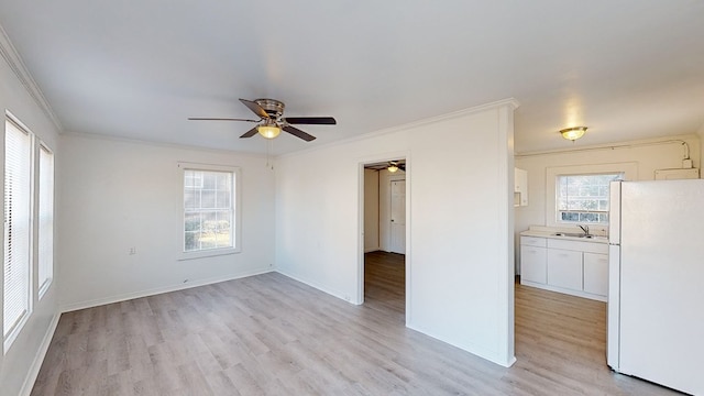 empty room with crown molding, light hardwood / wood-style flooring, and sink