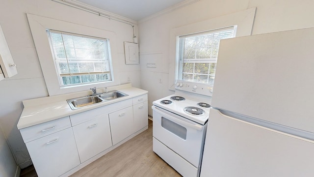 kitchen featuring light hardwood / wood-style floors, sink, crown molding, white appliances, and white cabinetry