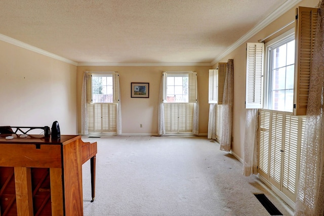 interior space featuring crown molding, light colored carpet, and a textured ceiling