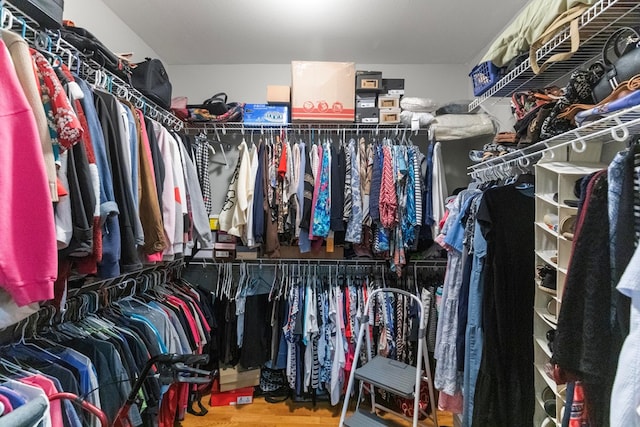 spacious closet with hardwood / wood-style floors