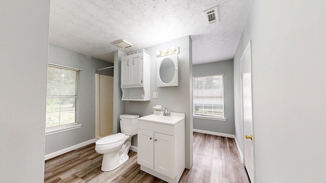 806 County Road 23, Skipperville, AL 36374 - full bath with vanity, wood finished floors, healthy amount of natural light, and a textured ceiling