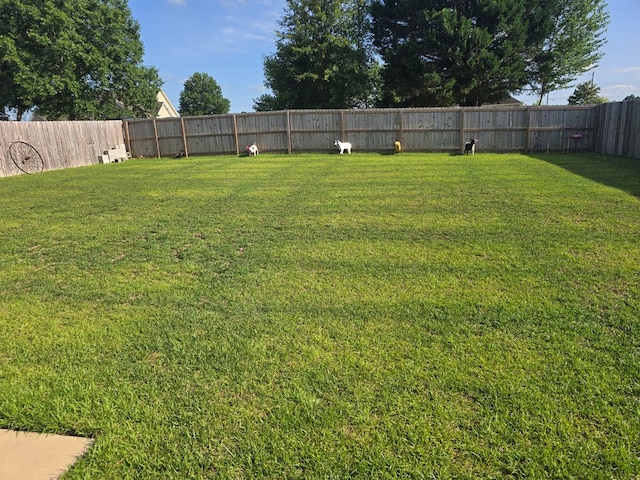 526 Ridgeland Rd, Dothan, AL 36301 - view of yard