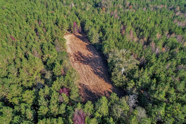 0 County Road 127, Banks, AL 36005