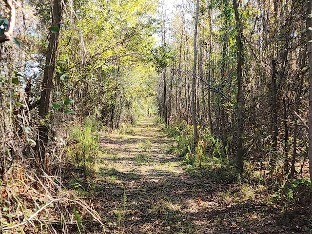 0 County Road 127, Banks, AL 36005