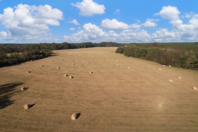 0 County Road 127, Banks, AL 36005