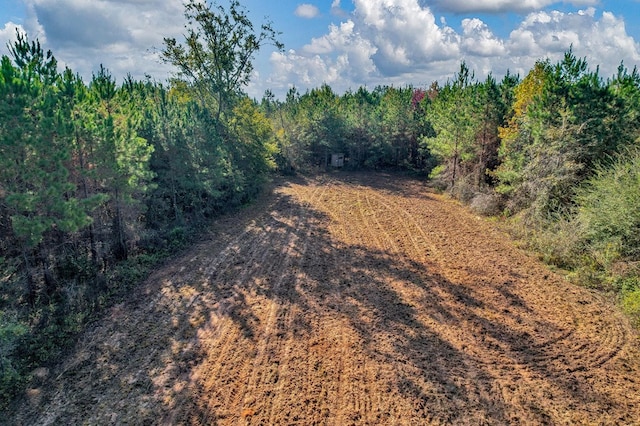 0 County Road 127, Banks, AL 36005