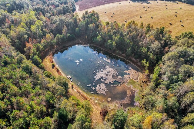 0 County Road 127, Banks, AL 36005