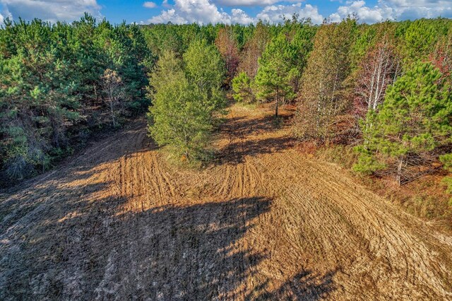0 County Road 127, Banks, AL 36005