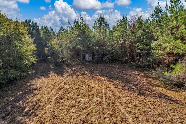0 County Road 127, Banks, AL 36005