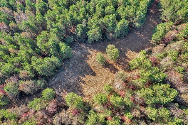 0 County Road 127, Banks, AL 36005