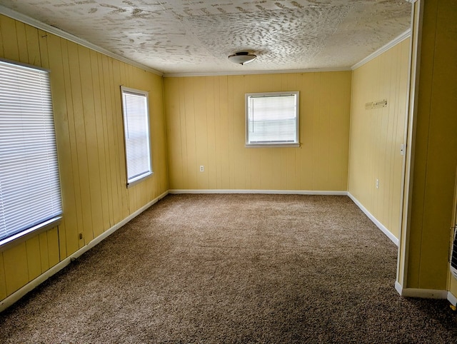 26 Martin Luther King Dr, Headland, AL 36345 - carpeted empty room with crown molding, baseboards, and wooden walls