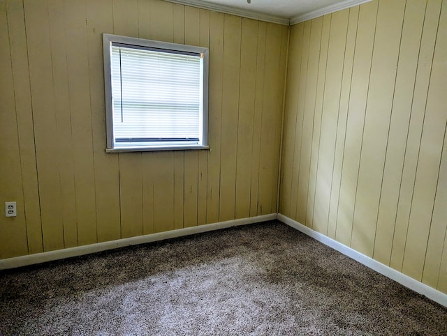 26 Martin Luther King Dr, Headland, AL 36345 - carpeted empty room with wood walls