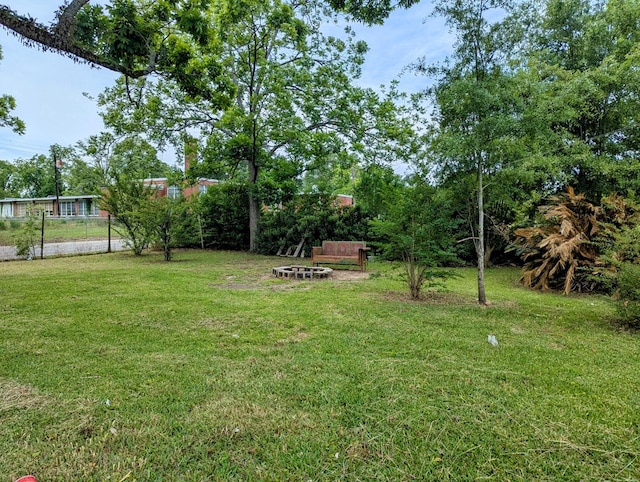 26 Martin Luther King Dr, Headland, AL 36345 - view of yard