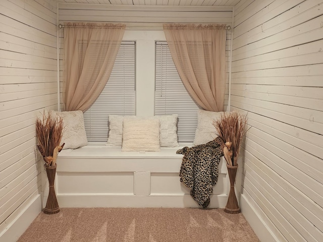 living area with carpet and wooden walls