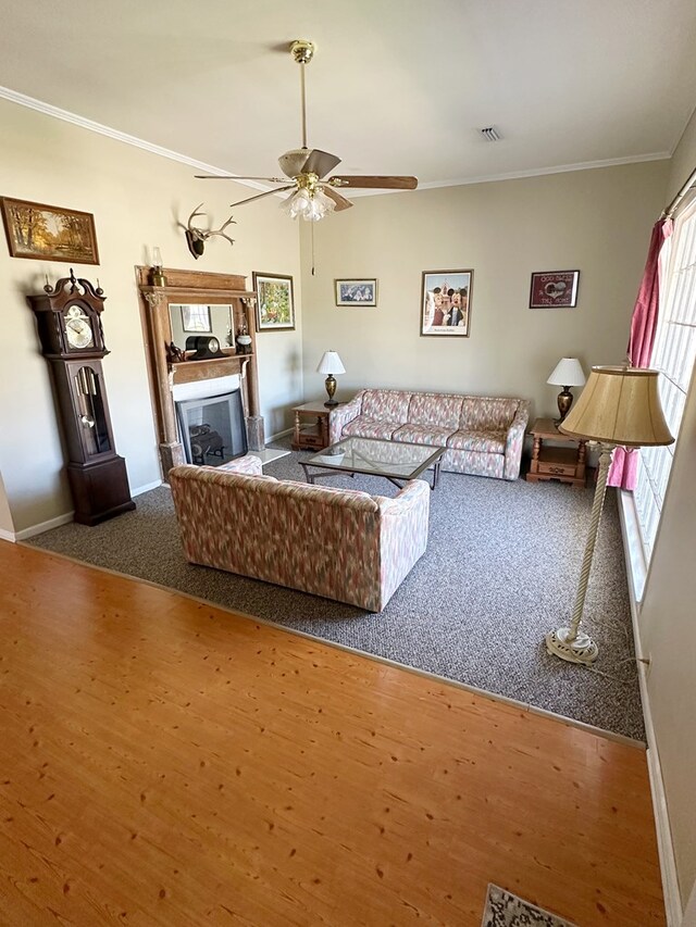 292 S Broad St, Newville, AL 36353 - photo 16