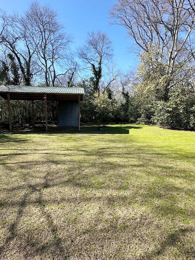 292 S Broad St, Newville, AL 36353 - photo 12