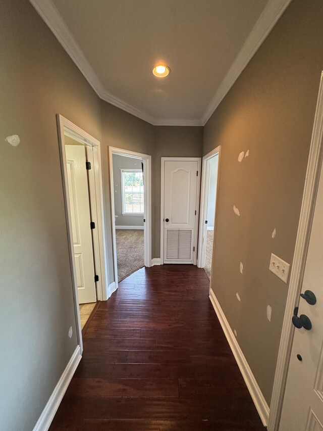 2103 Holland Rd, Newton, AL 36352 - corridor with crown molding, baseboards, and wood finished floors