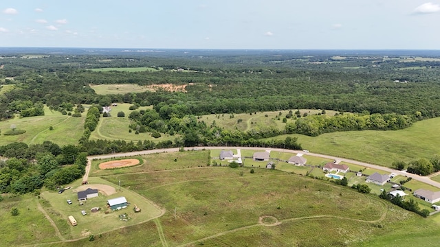 2103 Holland Rd, Newton, AL 36352 - aerial overview of property's location featuring a forest