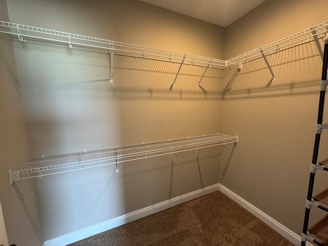 2103 Holland Rd, Newton, AL 36352 - walk in closet featuring carpet