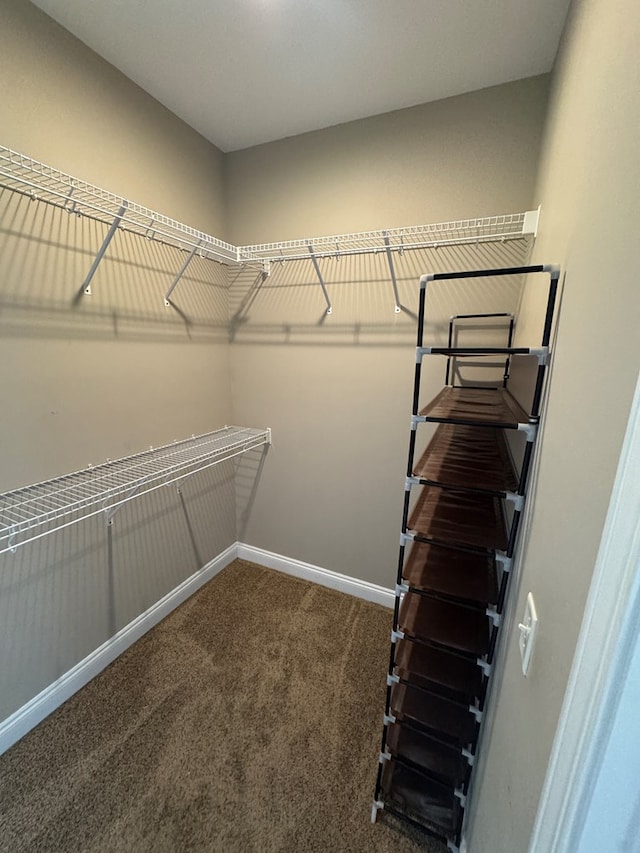 2103 Holland Rd, Newton, AL 36352 - walk in closet with carpet floors