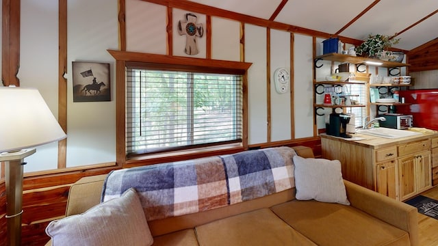 living room featuring sink and lofted ceiling