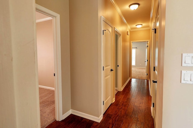 223 Veritas Dr, Dothan, AL 36303 - hallway featuring dark wood-type flooring, ornamental molding, and dark colored carpet