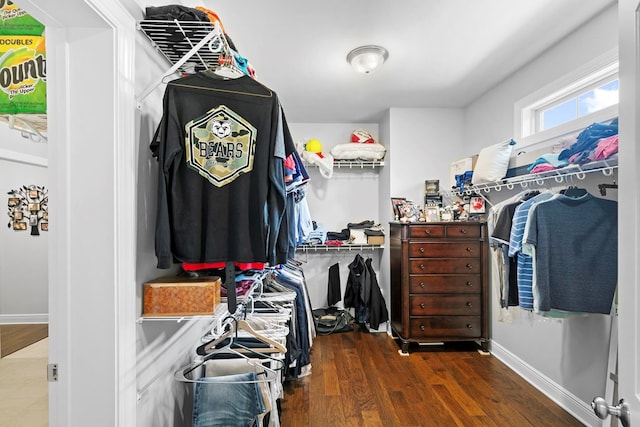 606 Billings Trl, Dothan, AL 36305 - spacious closet with wood finished floors