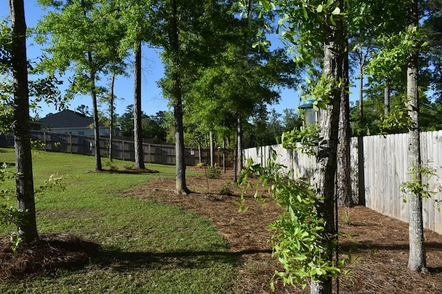 view of yard featuring a fenced backyard
