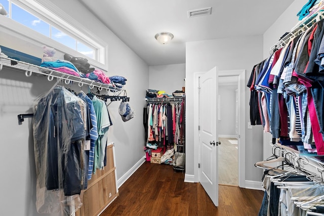 606 Billings Trl, Dothan, AL 36305 - spacious closet with wood finished floors