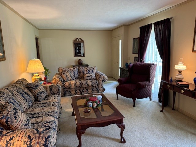 living room with crown molding and light colored carpet