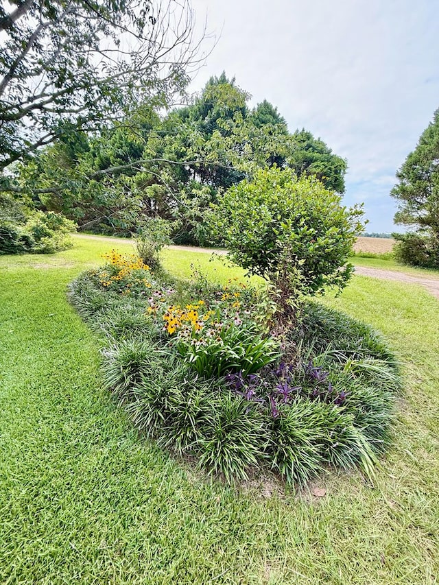 1511 County Line Rd, Dothan, AL 36305 - photo 22
