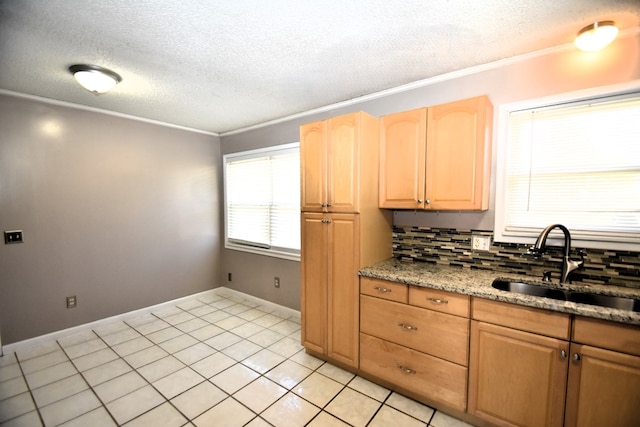 kitchen featuring sink, crown molding, light stone counters, tasteful backsplash, and light brown cabinetry