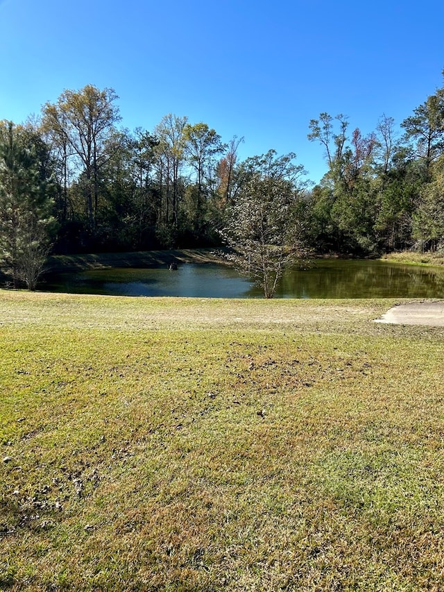 view of yard with a water view