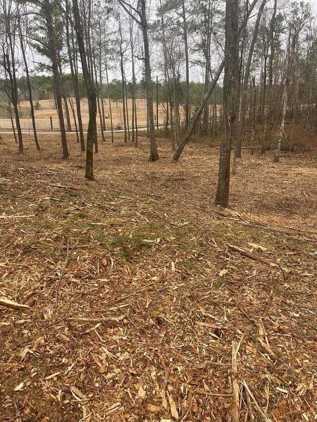 LOT51 Lakeview St, Abbeville, AL 36345 - photo 5
