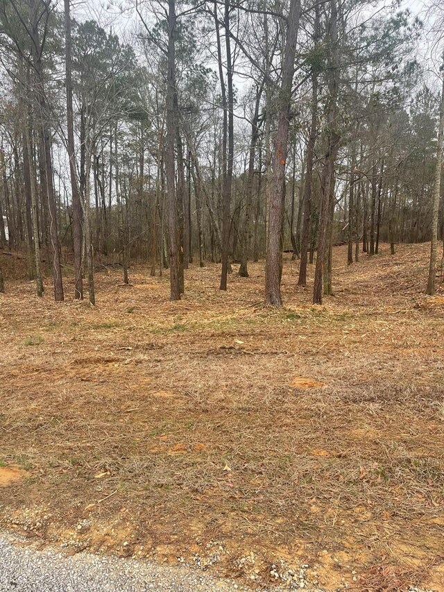 LOT51 Lakeview St, Abbeville, AL 36345 - photo 3