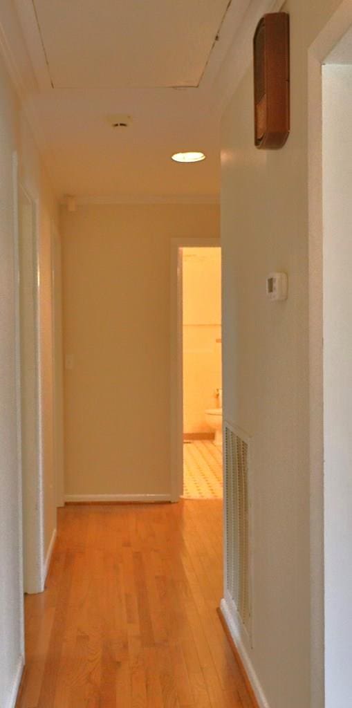 1222 E Main St, Ariton, AL 36311 - corridor featuring light wood finished floors