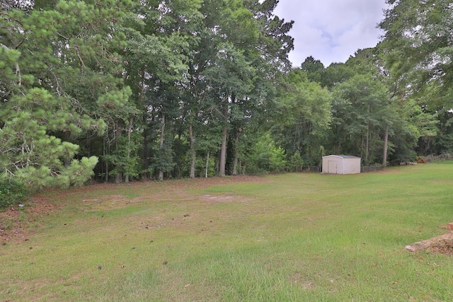 1222 E Main St, Ariton, AL 36311 - view of green lawn with a storage shed and a forest view