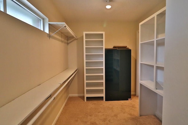 1222 E Main St, Ariton, AL 36311 - spacious closet with carpet floors