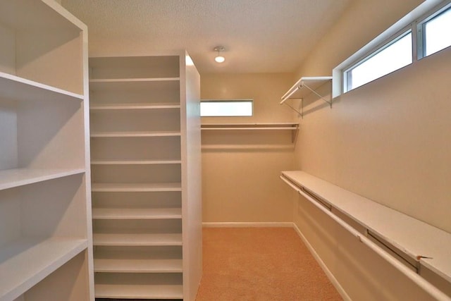 1222 E Main St, Ariton, AL 36311 - spacious closet with carpet floors