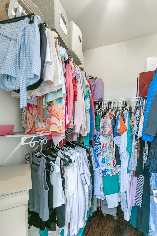538 Orchard, Dothan, AL 36305 - walk in closet with wood finished floors