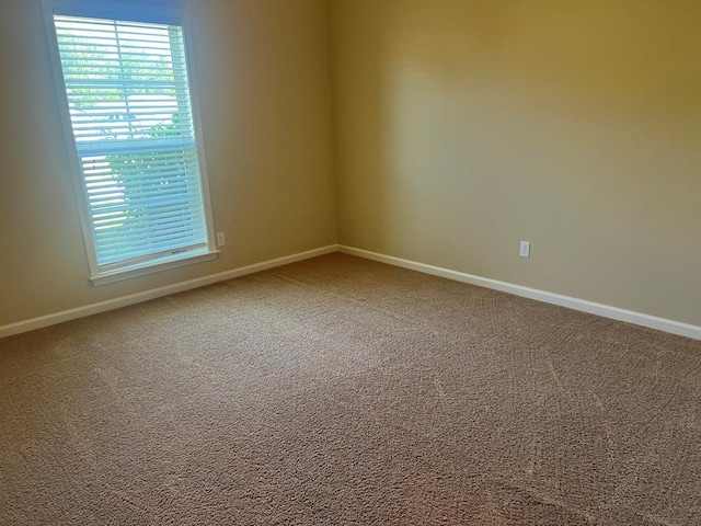 101 Brattleboro Ct, Dothan, AL 36301 - spare room with carpet floors and healthy amount of natural light