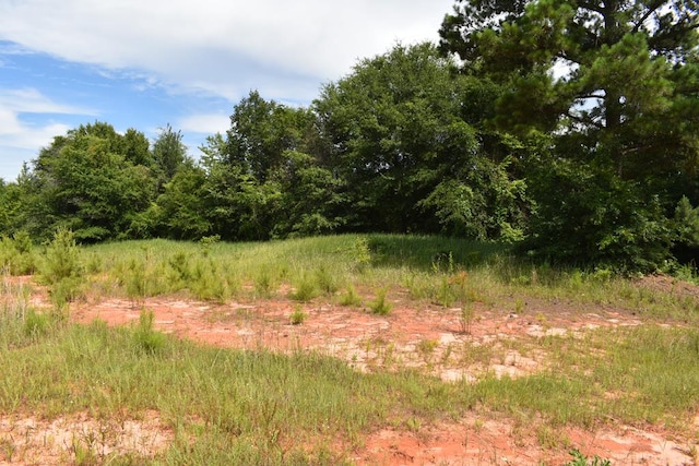 TBD Freedom Heights, Enterprise AL, 36330 land for sale