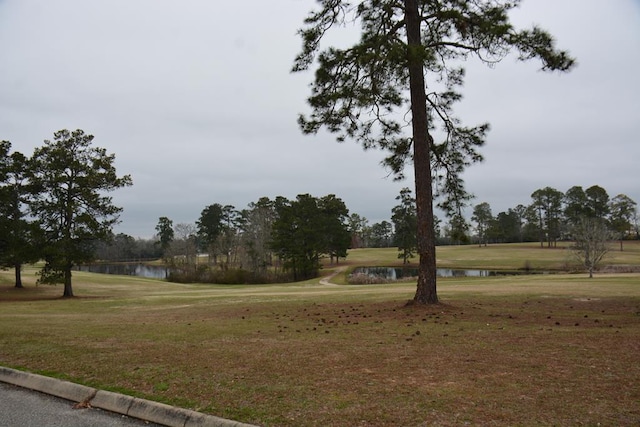 view of community with a yard and a water view
