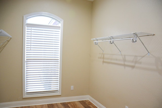 walk in closet featuring wood finished floors