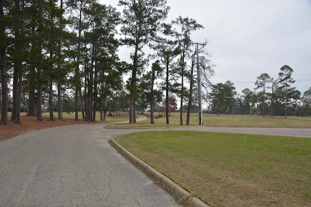 view of street featuring curbs