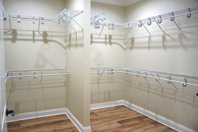 spacious closet with wood finished floors