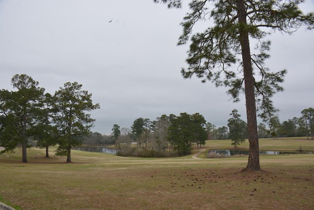 view of yard featuring a water view
