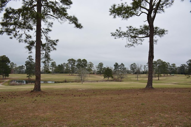 view of yard featuring a water view