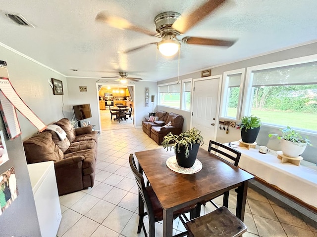 4916 County Road 14, Midland City, AL 36350 - photo 11