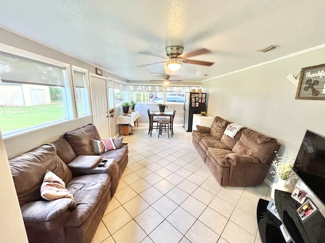 4916 County Road 14, Midland City, AL 36350 - photo 10